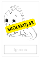 Djur - Skrivövning