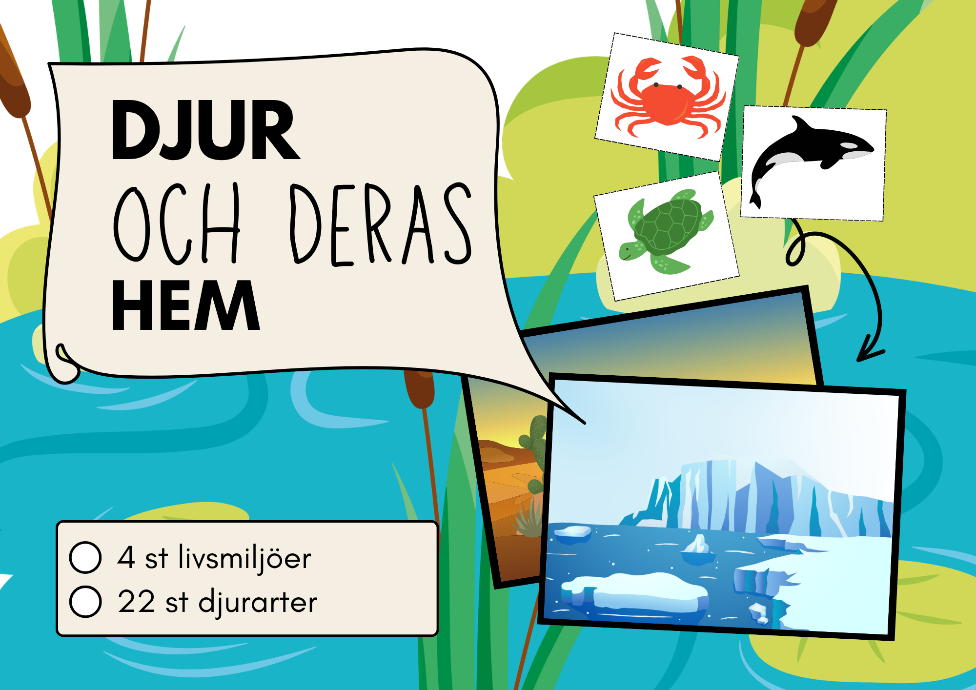 Djuren och deras hem - Pedagogiskt spel