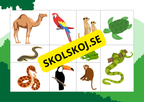 Djuren och deras hem - Pedagogiskt spel