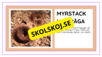 Djurens livsmiljöer - Häfte - Fakta och frågor (43 sidor)
