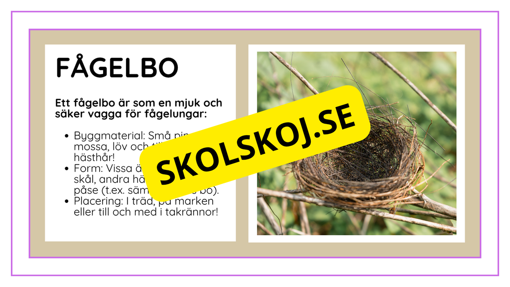 Djurens livsmiljöer - Häfte - Fakta och frågor (43 sidor)