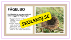 Djurens livsmiljöer - Häfte - Fakta och frågor (43 sidor)