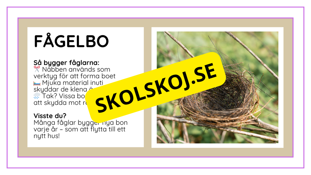 Djurens livsmiljöer - Häfte - Fakta och frågor (43 sidor)
