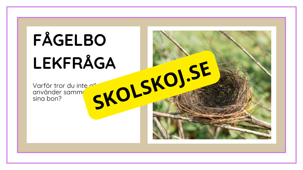 Djurens livsmiljöer - Häfte - Fakta och frågor (43 sidor)