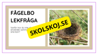 Djurens livsmiljöer - Häfte - Fakta och frågor (43 sidor)