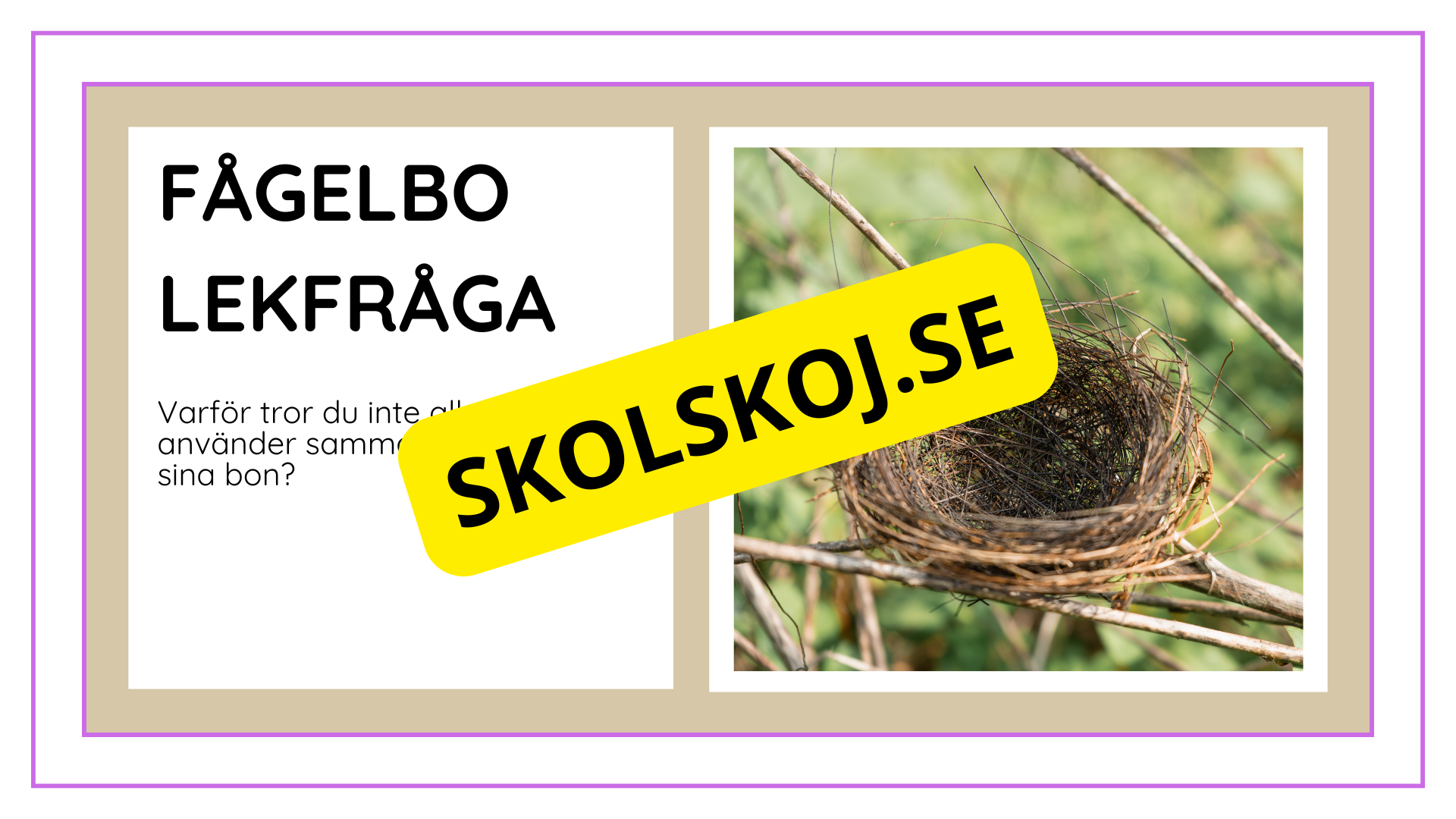 Djurens livsmiljöer - Häfte - Fakta och frågor (43 sidor)