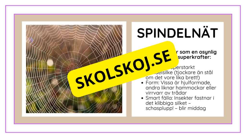 Djurens livsmiljöer - Häfte - Fakta och frågor (43 sidor)
