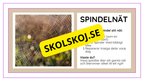 Djurens livsmiljöer - Häfte - Fakta och frågor (43 sidor)