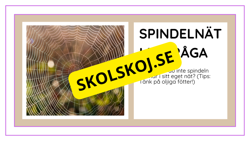 Djurens livsmiljöer - Häfte - Fakta och frågor (43 sidor)
