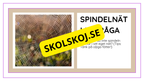 Djurens livsmiljöer - Häfte - Fakta och frågor (43 sidor)