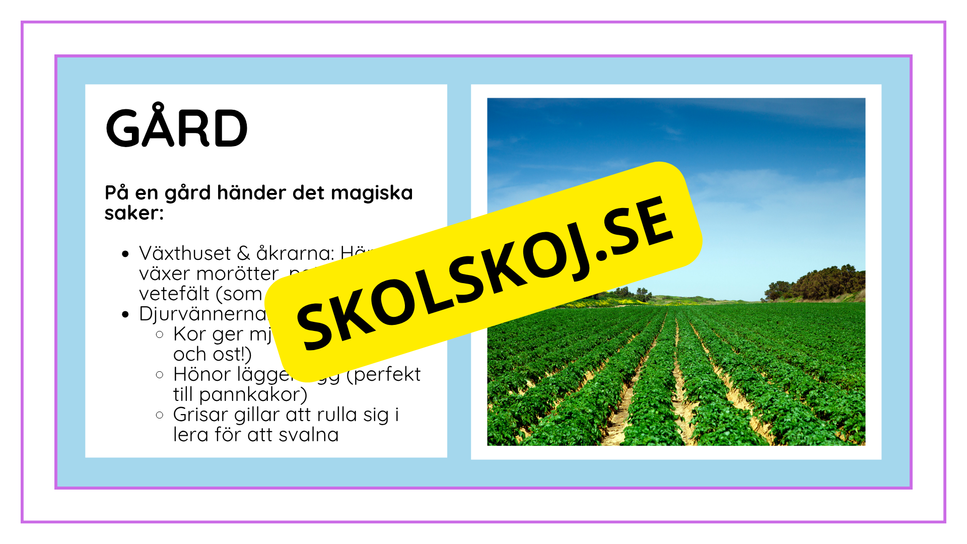 Djurens livsmiljöer - Häfte - Fakta och frågor (43 sidor)