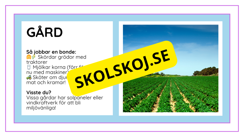 Djurens livsmiljöer - Häfte - Fakta och frågor (43 sidor)
