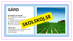 Djurens livsmiljöer - Häfte - Fakta och frågor (43 sidor)