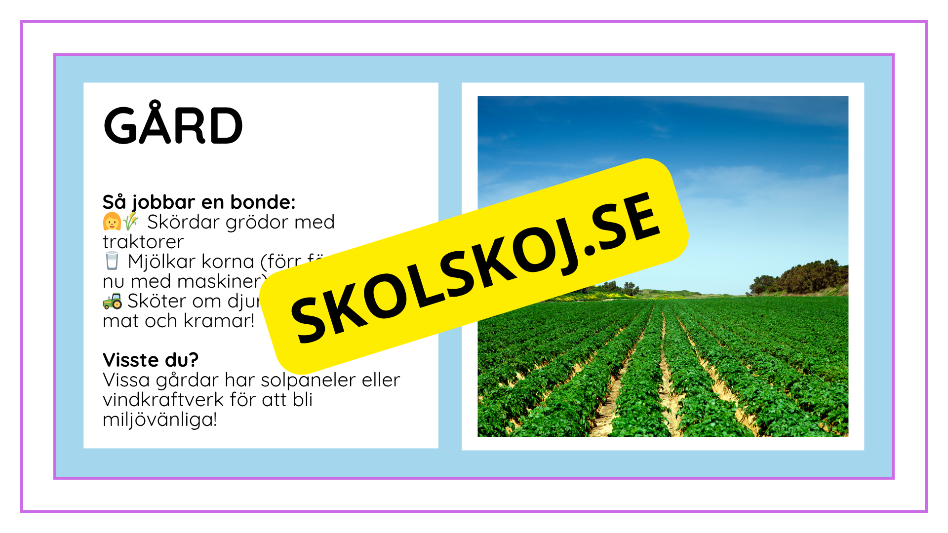 Djurens livsmiljöer - Häfte - Fakta och frågor (43 sidor)