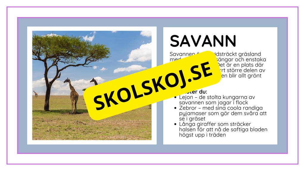 Djurens livsmiljöer - Häfte - Fakta och frågor (43 sidor)