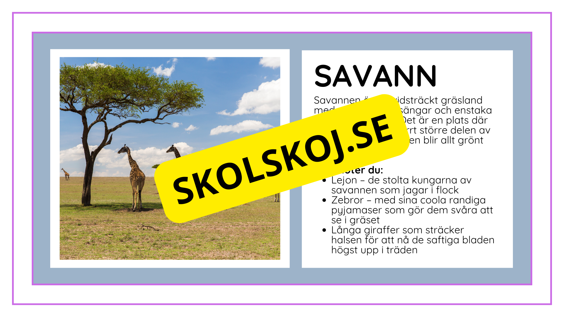 Djurens livsmiljöer - Häfte - Fakta och frågor (43 sidor)
