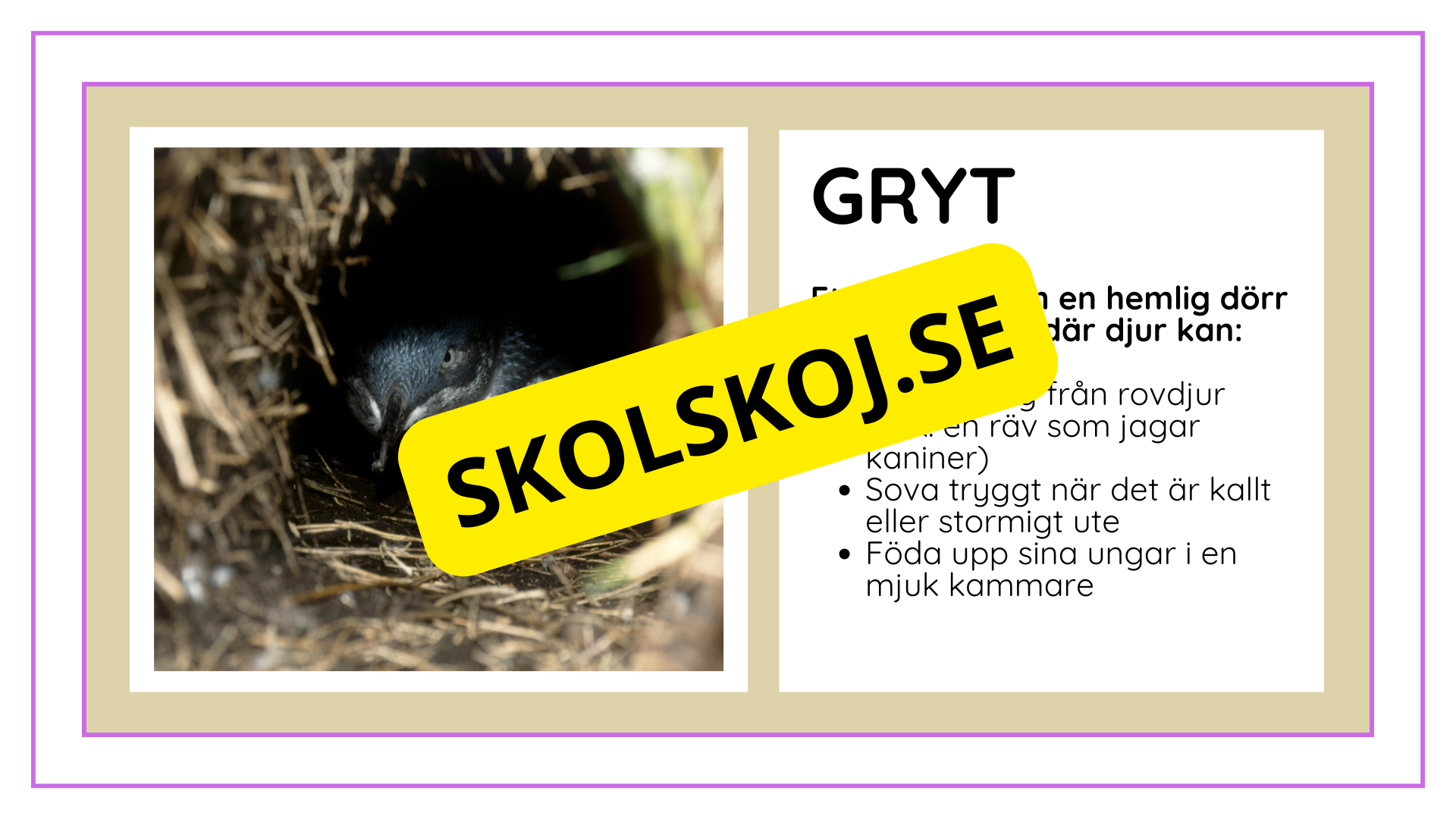 Djurens livsmiljöer - Häfte - Fakta och frågor (43 sidor)