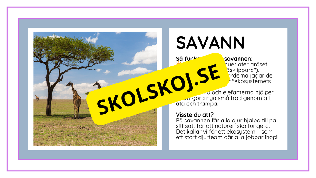Djurens livsmiljöer - Häfte - Fakta och frågor (43 sidor)