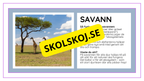 Djurens livsmiljöer - Häfte - Fakta och frågor (43 sidor)