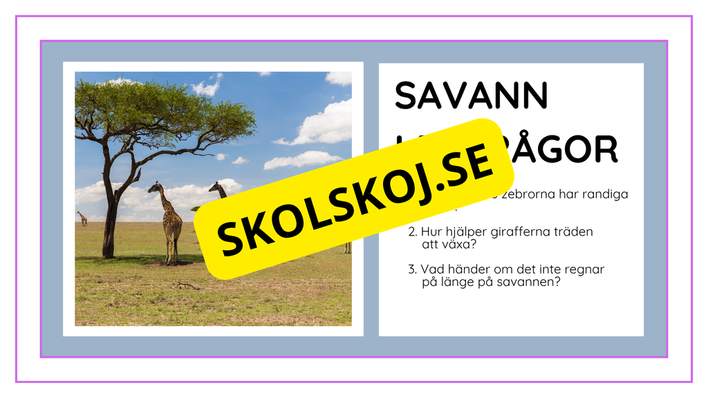 Djurens livsmiljöer - Häfte - Fakta och frågor (43 sidor)