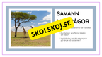 Djurens livsmiljöer - Häfte - Fakta och frågor (43 sidor)