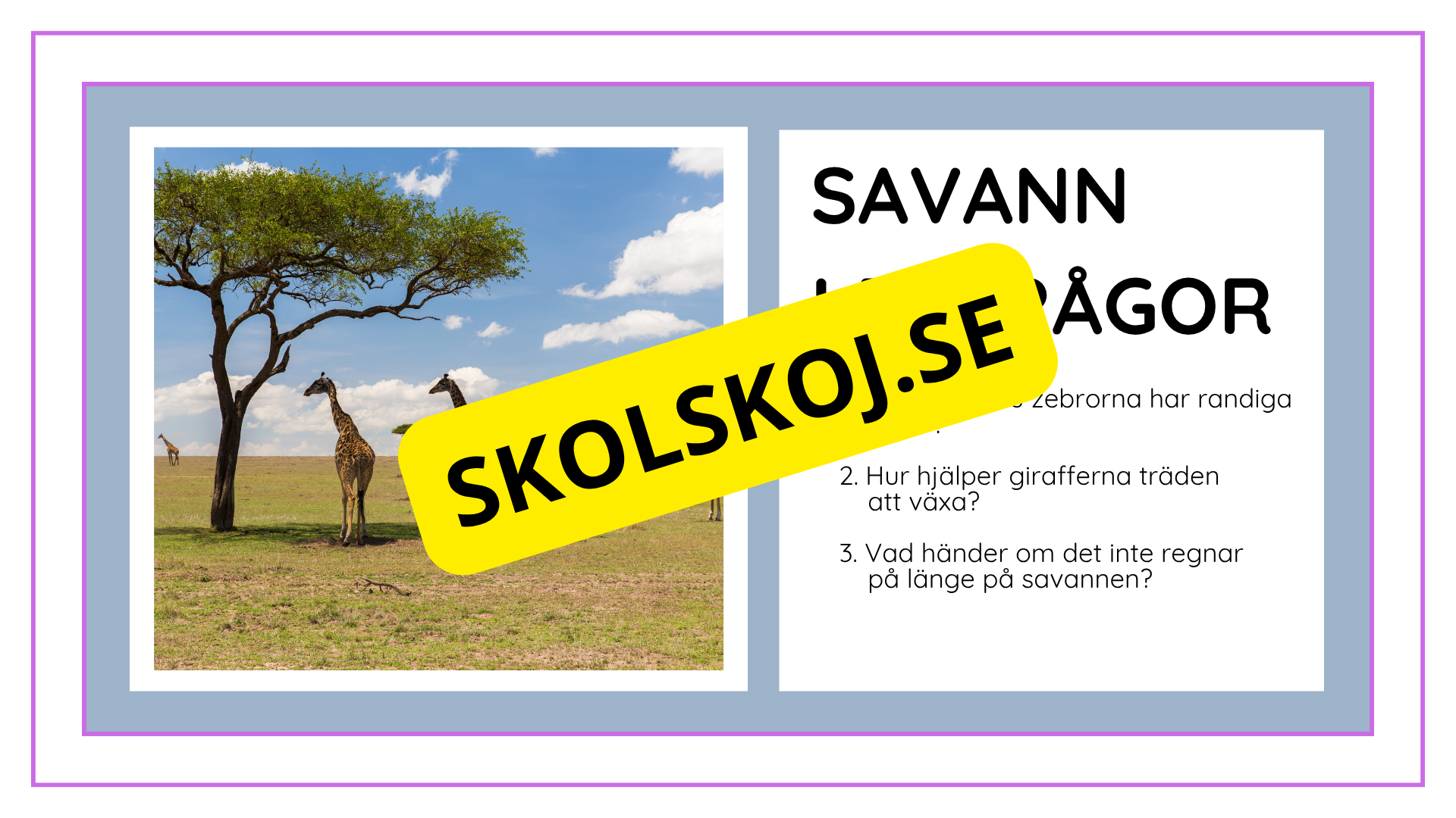 Djurens livsmiljöer - Häfte - Fakta och frågor (43 sidor)