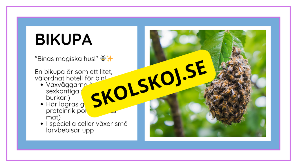 Djurens livsmiljöer - Häfte - Fakta och frågor (43 sidor)