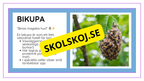 Djurens livsmiljöer - Häfte - Fakta och frågor (43 sidor)