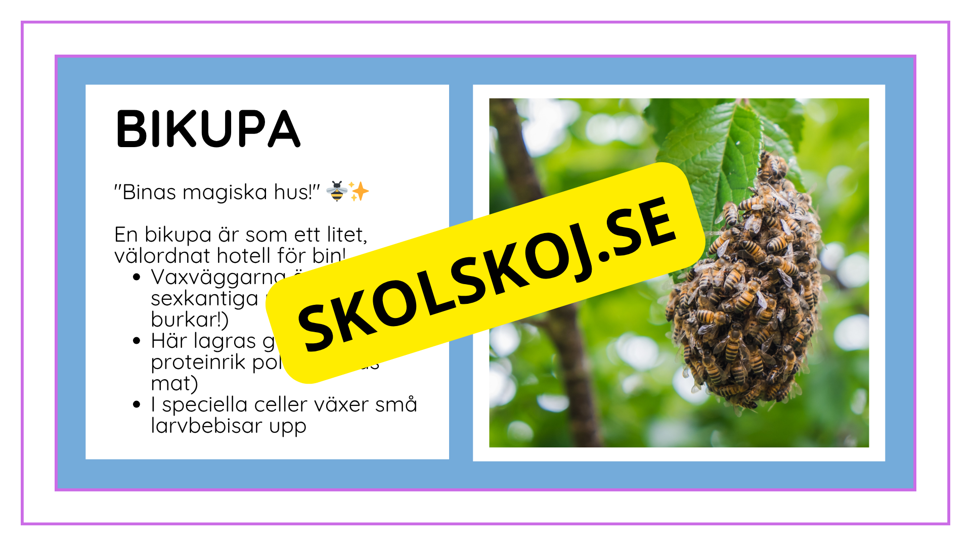 Djurens livsmiljöer - Häfte - Fakta och frågor (43 sidor)