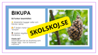 Djurens livsmiljöer - Häfte - Fakta och frågor (43 sidor)