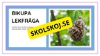 Djurens livsmiljöer - Häfte - Fakta och frågor (43 sidor)