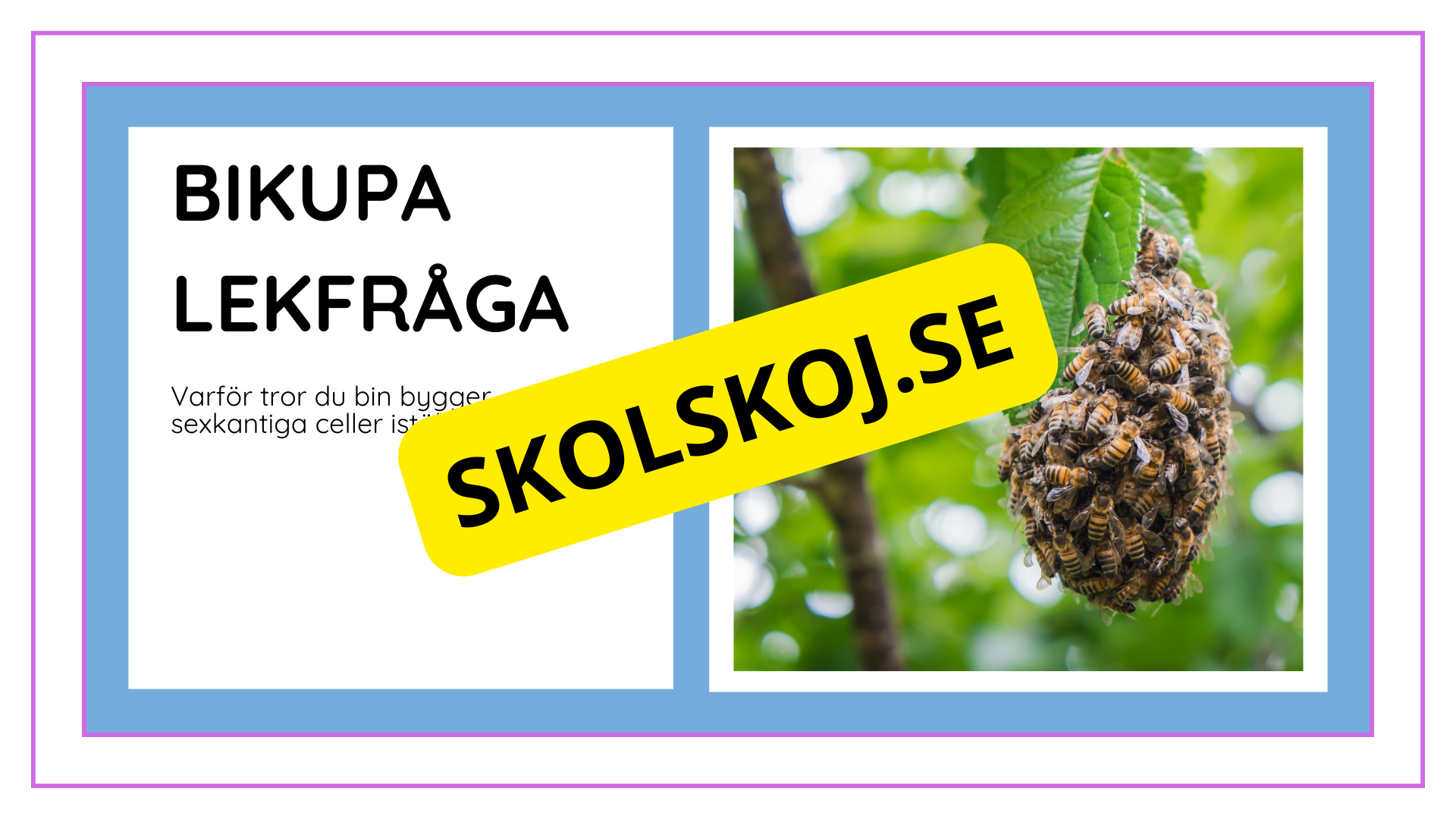 Djurens livsmiljöer - Häfte - Fakta och frågor (43 sidor)