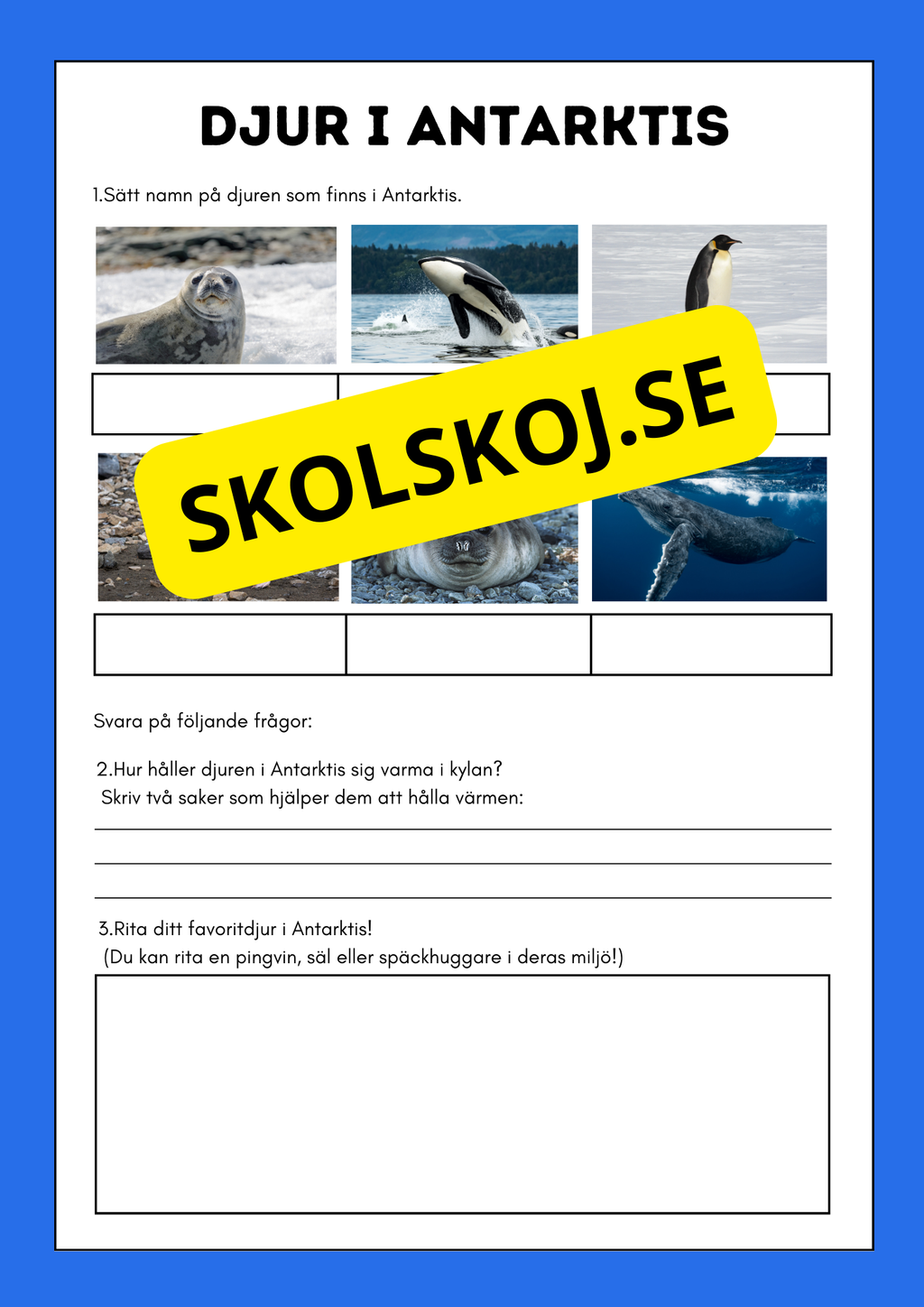 Djur i Antarktis - Presentation - Fakta och arbetsblad