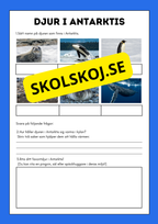 Djur i Antarktis - Presentation - Fakta och arbetsblad