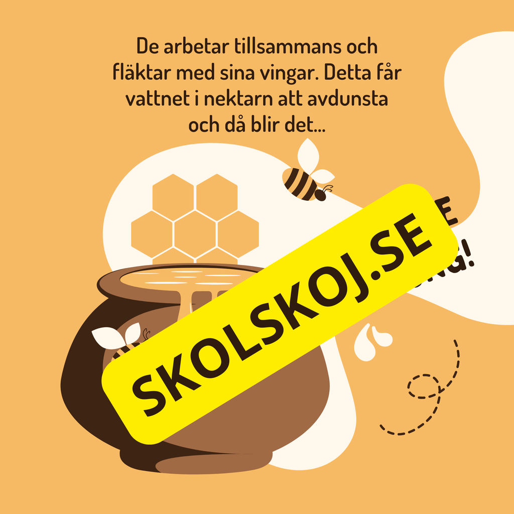 En dag i binas liv - Läsförståelse - Diskussionsfrågor