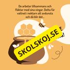En dag i binas liv - Läsförståelse - Diskussionsfrågor