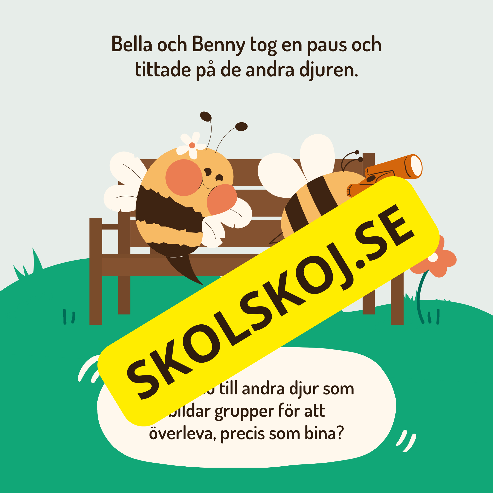 En dag i binas liv - Läsförståelse - Diskussionsfrågor
