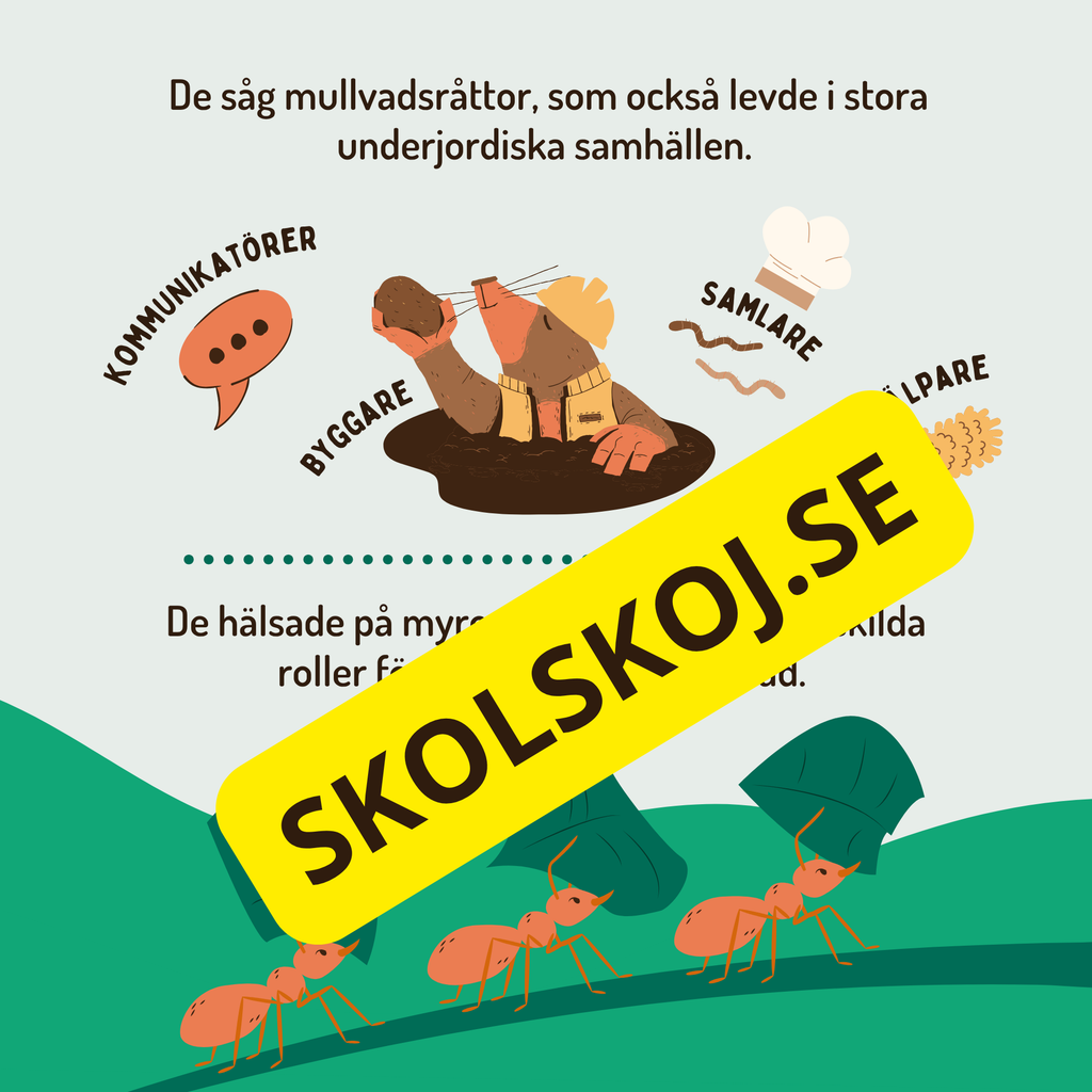 En dag i binas liv - Läsförståelse - Diskussionsfrågor