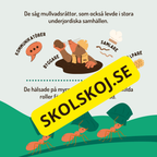 En dag i binas liv - Läsförståelse - Diskussionsfrågor