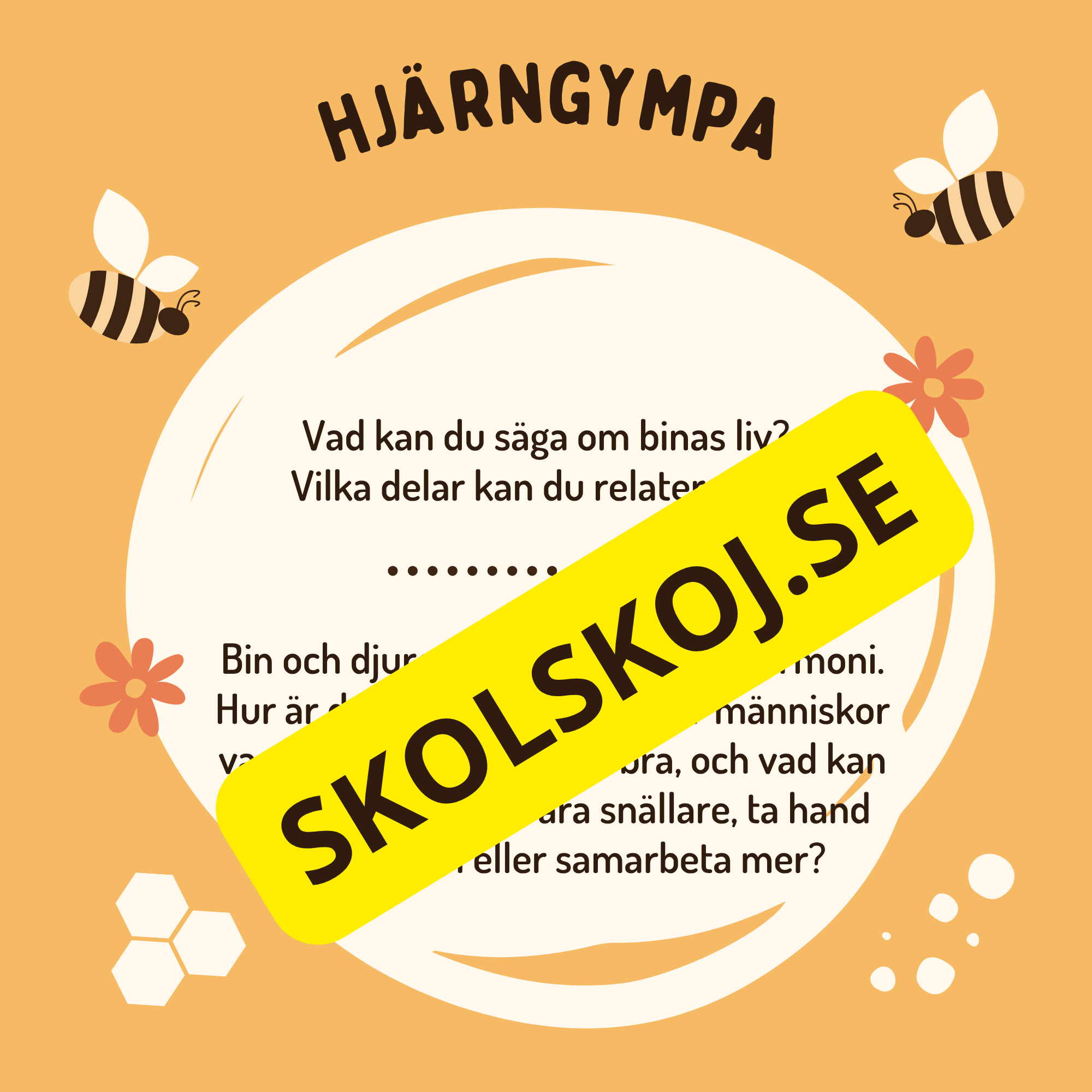 En dag i binas liv - Läsförståelse - Diskussionsfrågor