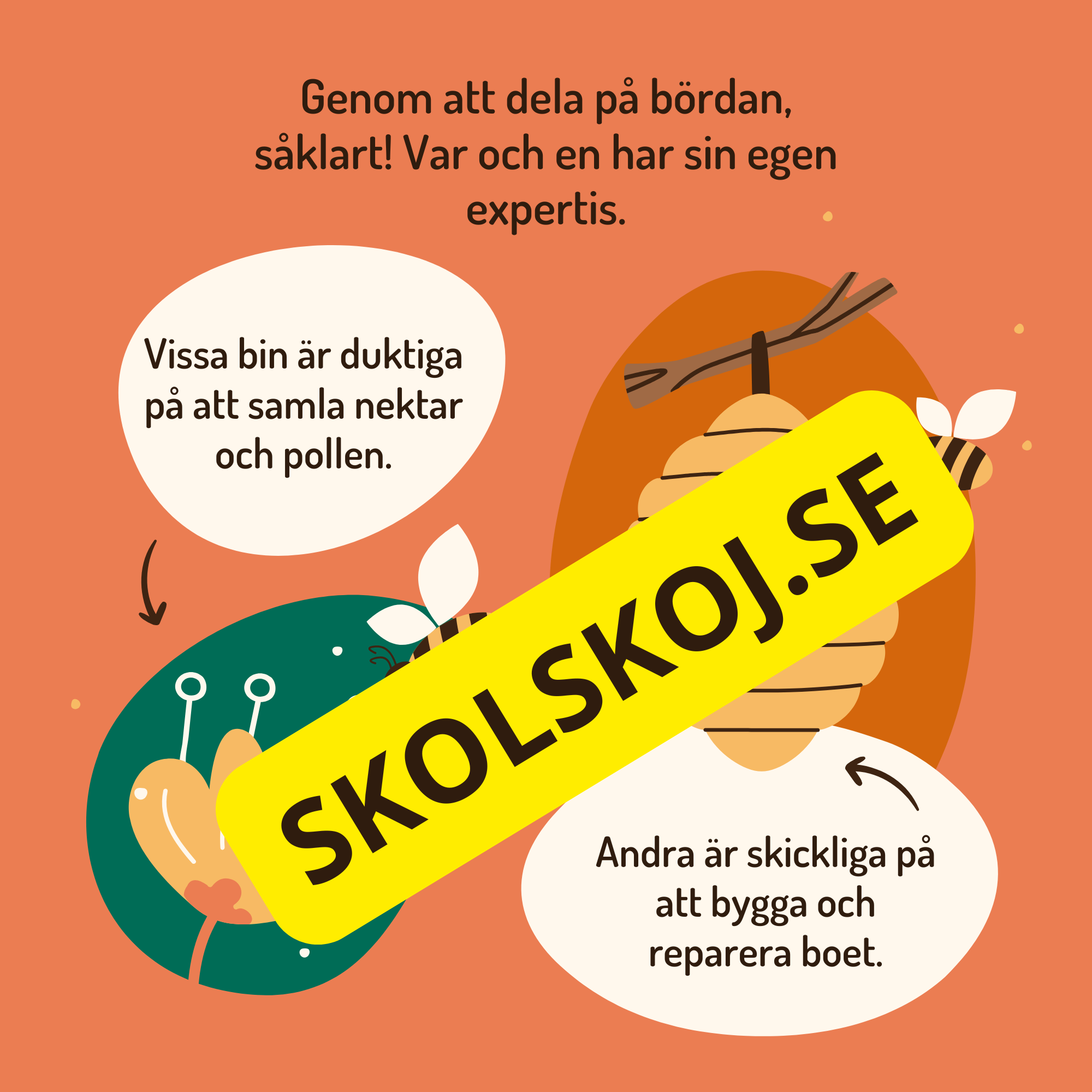En dag i binas liv - Läsförståelse - Diskussionsfrågor