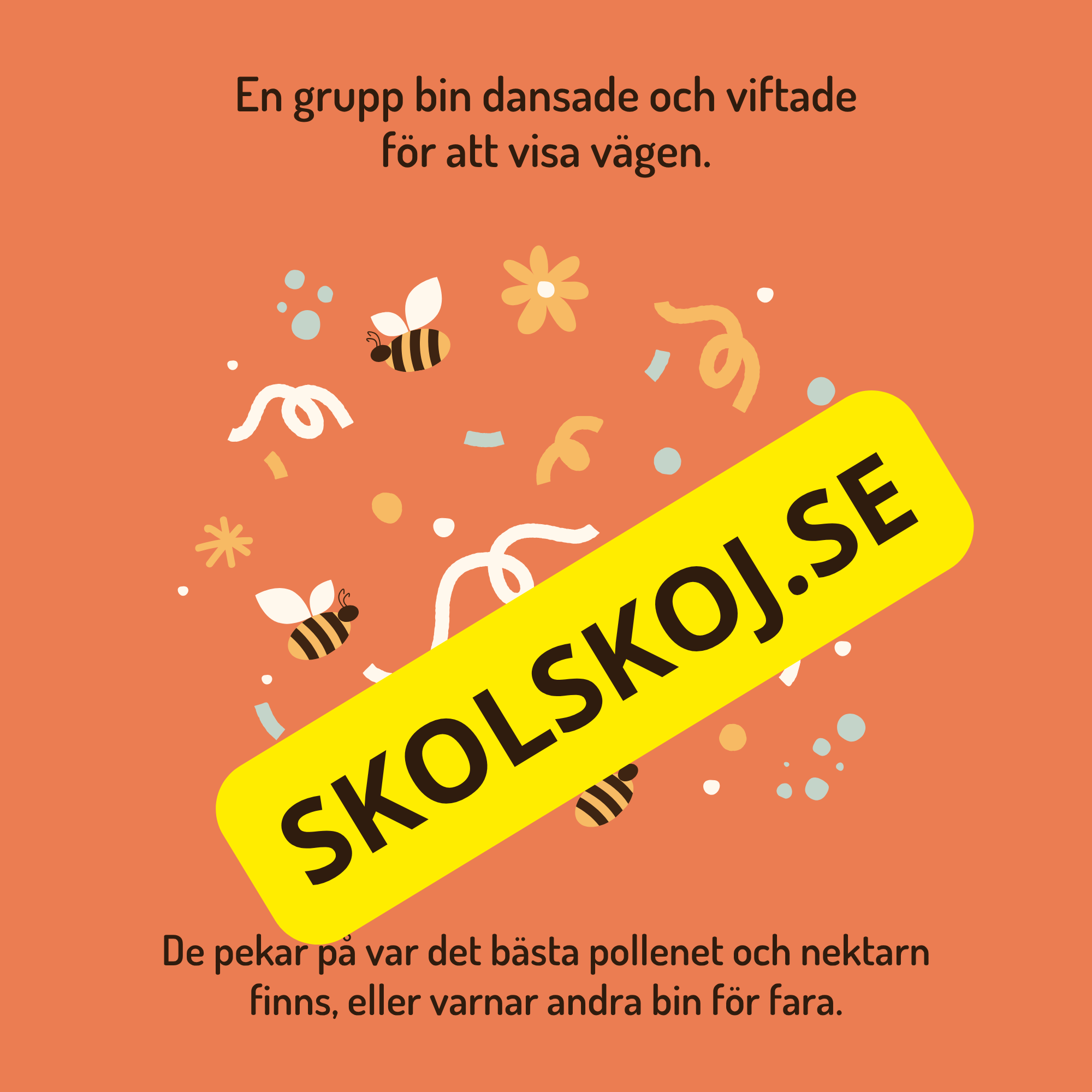 En dag i binas liv - Läsförståelse - Diskussionsfrågor