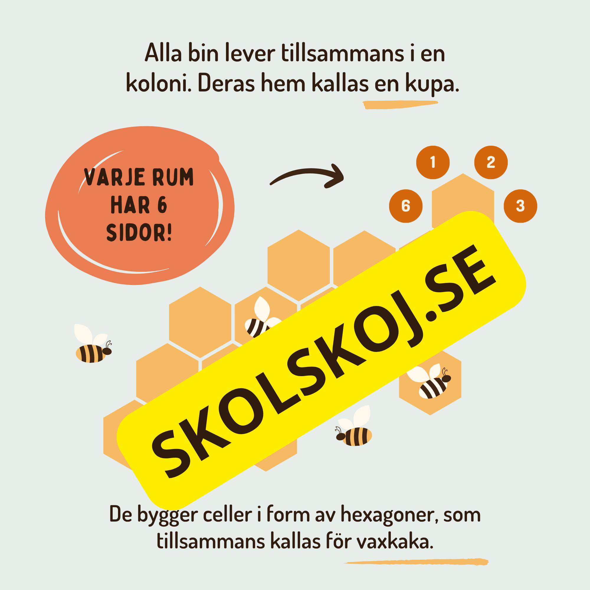 En dag i binas liv - Läsförståelse - Diskussionsfrågor