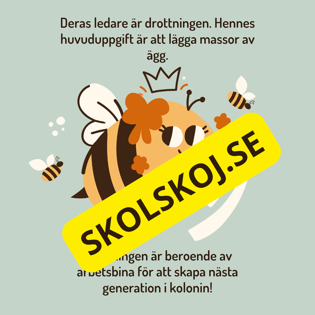 En dag i binas liv - Läsförståelse - Diskussionsfrågor