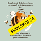En dag i binas liv - Läsförståelse - Diskussionsfrågor