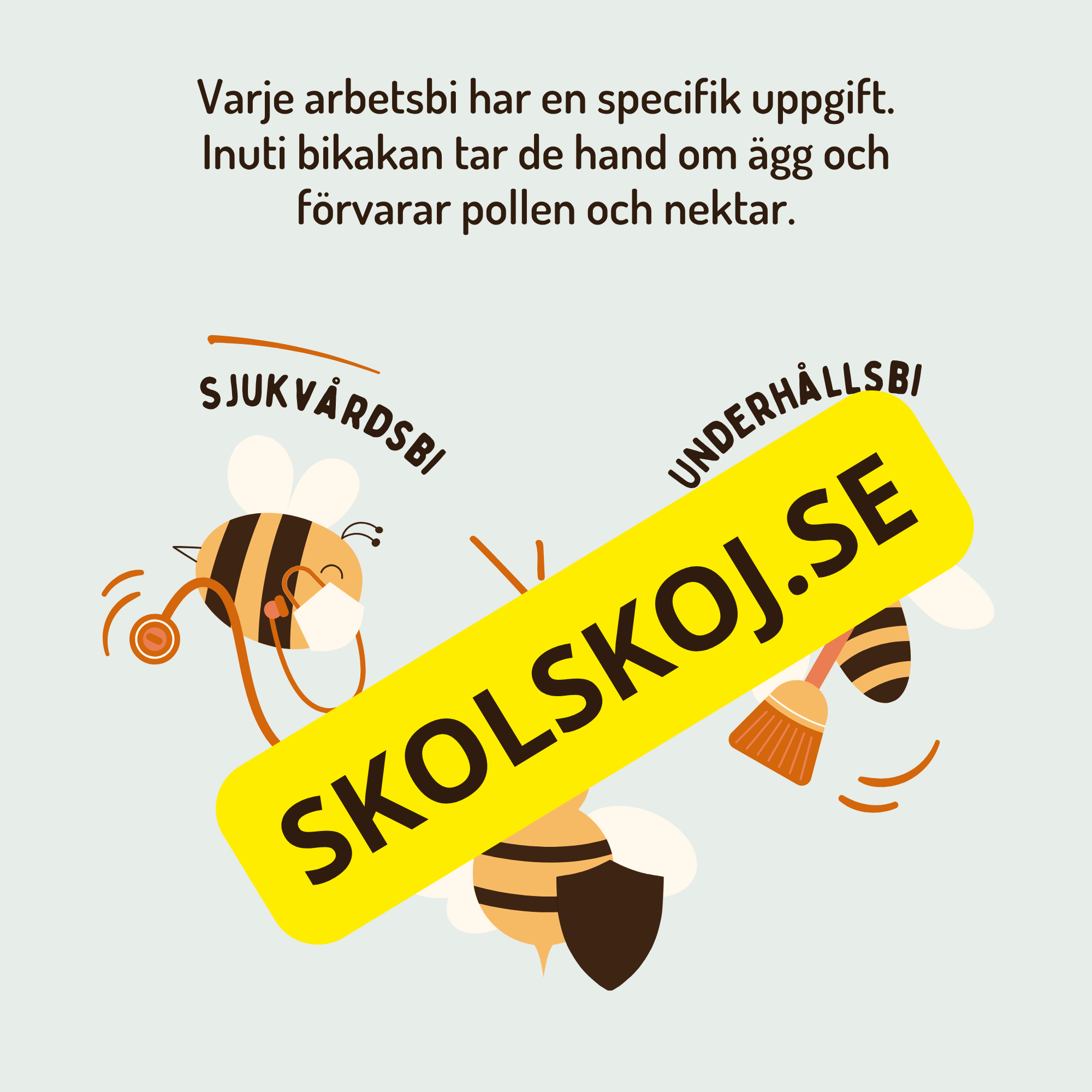 En dag i binas liv - Läsförståelse - Diskussionsfrågor