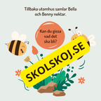 En dag i binas liv - Läsförståelse - Diskussionsfrågor