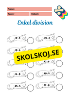Enkel division