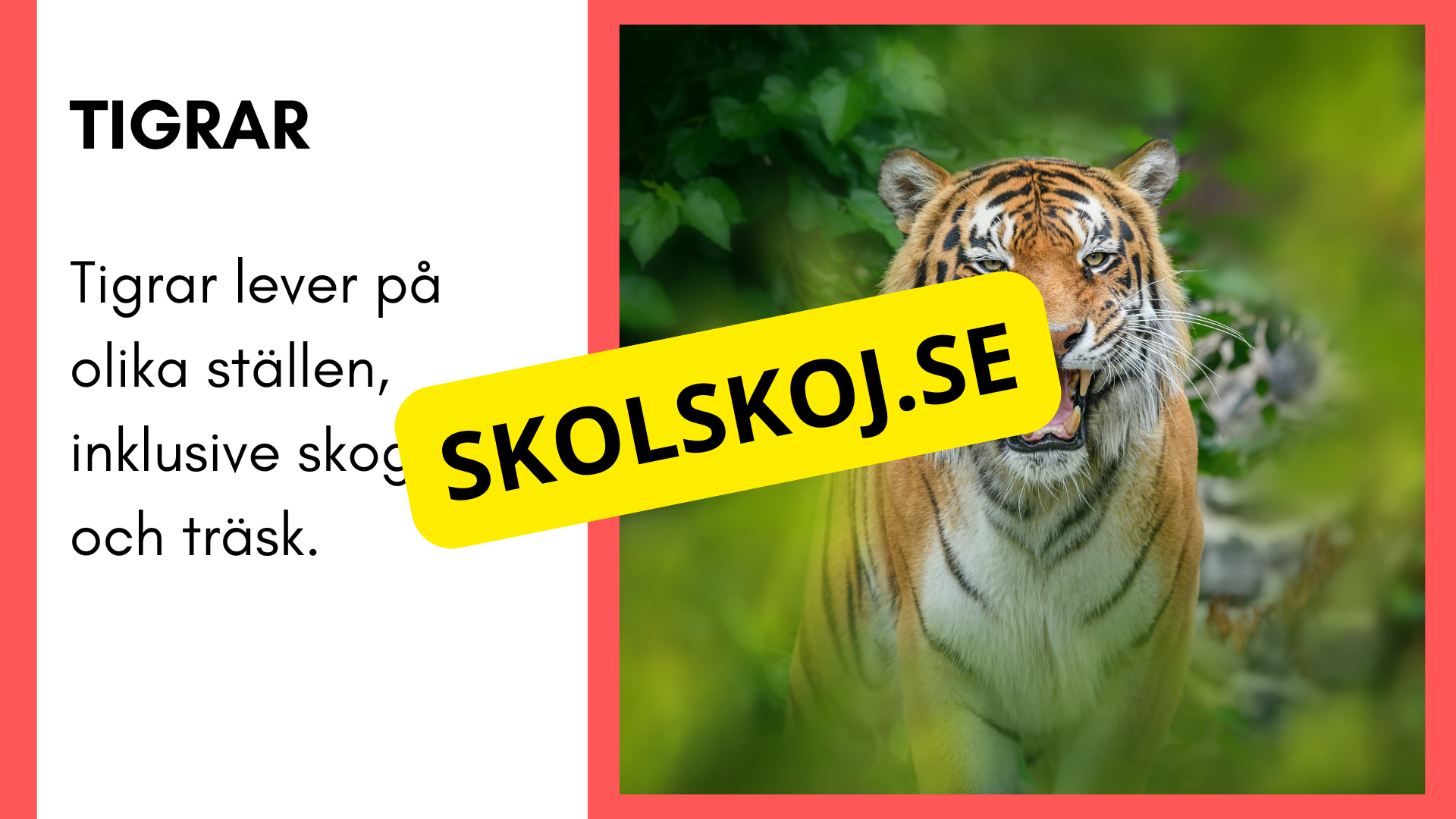 Enkla fakta om djurens livsmiljö