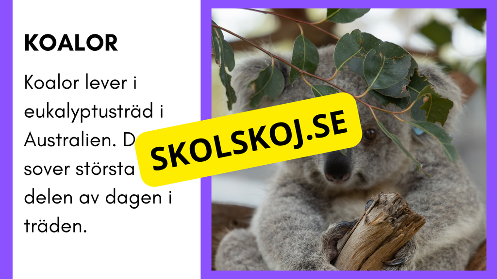 Enkla fakta om djurens livsmiljö